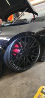 Triangle SporteX TH201 - User Submitted Image